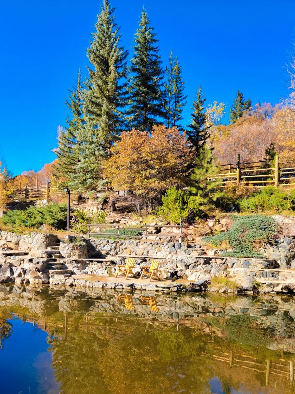 Tall evergreens and autumn shrubs reflected in a rocky pond