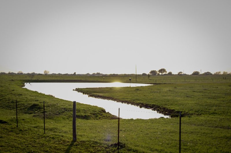 Winding pond through green pasture with fence