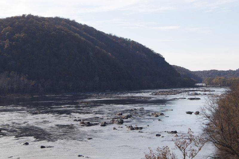 Rocky shallow river below a forested ridge