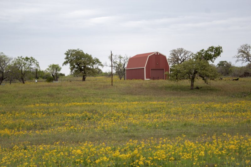 A red barn among Texas wildflowers.