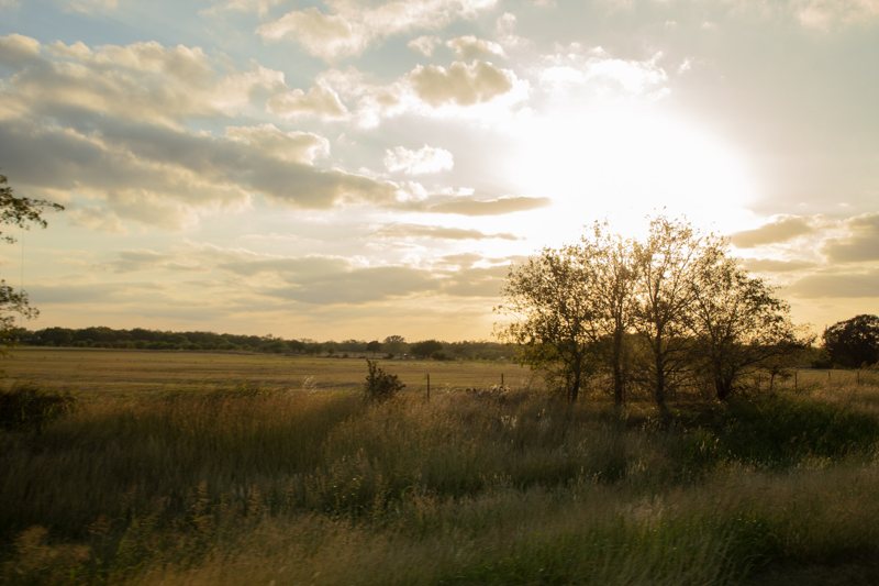 Sun breaking through clouds over a golden field.