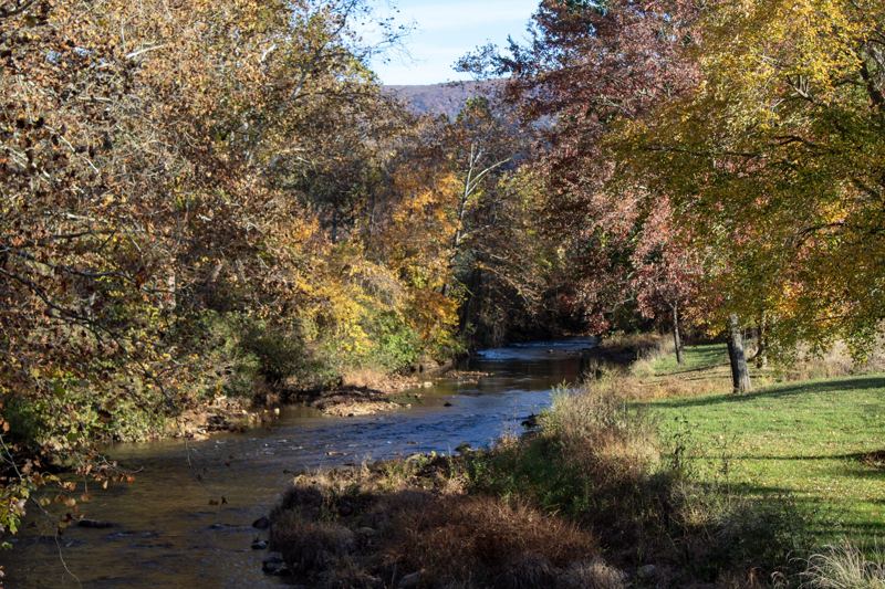 Creek winding through fall-colored trees toward a mountain